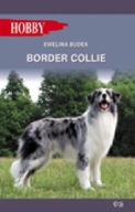 Border Collie Ewelina Budek