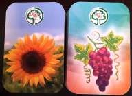 Karty do wróżenia, Nowa talia Lenormand Double