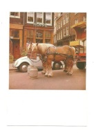 Pocztówka - Konie w zaprzęgu, obrok i stary wóz z piwem + VW Garbus w tle