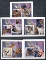 KOTY. GUINE BISSAU. Mi 5XBl tw.pap.** 2010r.