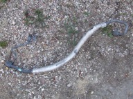 PRZEWÓD RURKA WĄŻ KLIMATYZACJI BMW E46 M54 M52 330