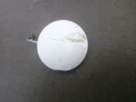 Toyota Rav4 06-09 zaślepka zderzaka przedniego