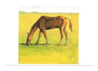 Pocztówka - Arie Schippers, Koń na pastwisku I ...