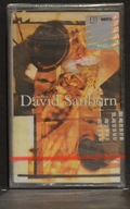 David Sanborn - The Best Of David Sanborn NOWA