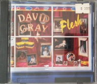 David Gray Flesh USA Promotional Copy CD Irl