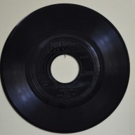 Krzak – Ściepka, Drzewo Oliwne, Kansas, Kawa Blues