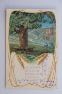 POD STARYM DĘBEM KŁOSY przedwojenna POCZTÓWKA