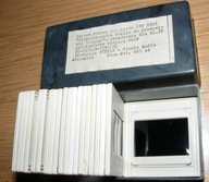 PRZYSTOSOWANIE ROŚLIN DO ŚRODOWISKA WODNEGO