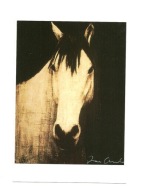Pocztówka - J. Andoe, Portret konia I / koń ...