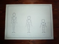 RYSUNEK - lata 1970 HOLANDIA - PROPORCJE CZŁOWIEKA