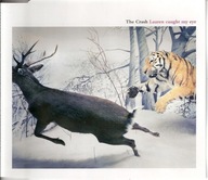 THE CRASH - Lauren Caught My Eye [Maxi CD] 2002