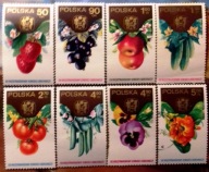 Fi. 2182 - 2189 XIX Kongres Ogrodniczy w Warszawie.