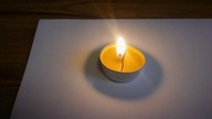 PODGRZEWACZ TEALIGHT Z WOSKU PSZCZELEGO 4cm z wadą