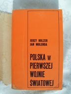 Polska w pierwszej wojnie światowej - Holzer