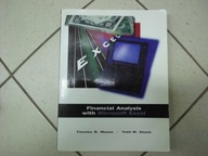 Financial Analysis with Microsoft Excel - T. Mayes