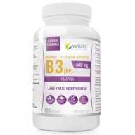Suplement diety Wish Pharmaceutical witamina B3 500 mg kapsułki 120 szt.