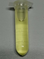 Olejek Eteryczny Mięta Pieprzowa 100% BIO