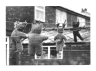 Pocztówka - Pluszowe misie na sznurku od prania / Pluszaki na wietrze