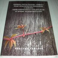 Program kształtowania i korekcji pojęć Tkaczyk