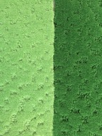 Nawierzchnia wykładzina dywanowa na dwa korty tenisowe DESSO