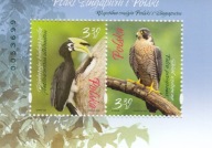 BL. Fi 343 5021 5022 **