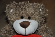 pluszak maskotka Miś Misio słodziak z serduszkiem