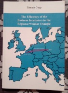 The Efficiency of the Business Incubators