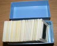 RÓŻNORODNOŚĆ MSZAKÓW I PAPROTNIKÓW SLAJDY