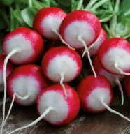 Rzodkwie i rzodkiewki Rzodkiewka Poloneza nasiona