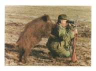 Pocztówka - Myśliwy i dzik albo Gdzież one są ?