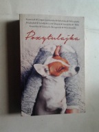 PRZYTULAJKA Praca zbiorowa