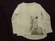 5.10.15 t-shirt kremowy rozmiar 140