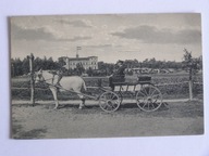 Dźwirzyno k / Kołobrzeg powóz Sanatorium Lenza ok 1915