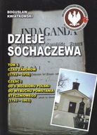 Dzieje Sochaczewa, t. 4. Zabory, cz. I