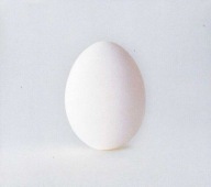 WILCO - A Ghost Is Born CD T