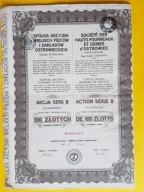 SA Wielkich Piecow i Zakladow Ostrowieckich