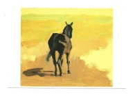 Pocztówka - Arie Schippers, Koń od tyłu ...