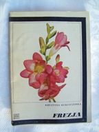 FREZJA - KUKUŁCZANKA