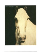 Pocztówka - Portret konia III / obraz / koń