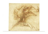 Pocztówka - Andrea Mantegna, Ptak na gałązce ...
