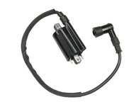 Cewka Zapłonowa Atv Quad Keeway Gtx Linhai Benyco Buyang Allroad 260 300