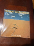 LITTLE RIVER BAND beginings Winyl lp ex usa