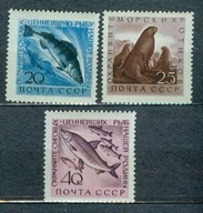 ZSRR ** Sandacz, sieja, uchatka Mi 2385-87