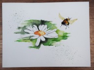 KWIATY (116) dla 884 Skubalskich