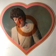 Alvin Stardust – Got A Little Heartache - picture disc