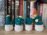 Kaktus LOVE dekoracja szydełko