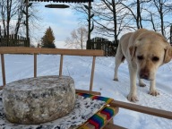 Długodojrzewający ser kozi Jakub prosto ze Złotej Górki! I super koszulka!