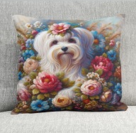 Poduszka 40/40cm Maltańczyk Maltese