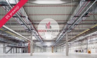 Magazyny i hale, Wypędy, Raszyn, Pruszkowski, 5878 m²