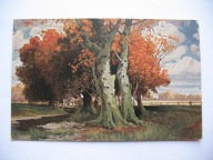 ZAGINIONY ŚWIAT STARE DĘBY W JESIENNEJ SZACIE przedwojenna POCZTÓWKA